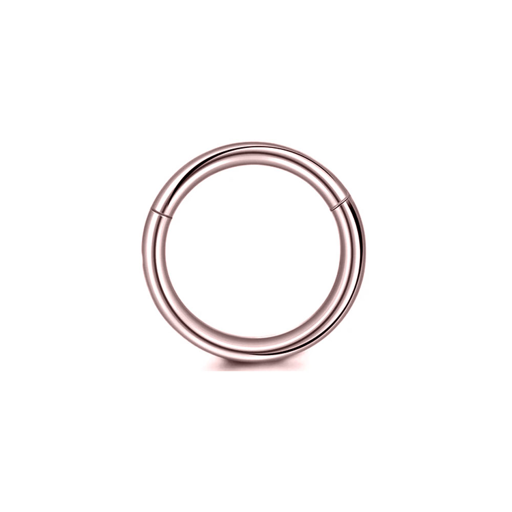 Anéis de nariz com segmento cl - Septum Clicker Ring avaliação e preço