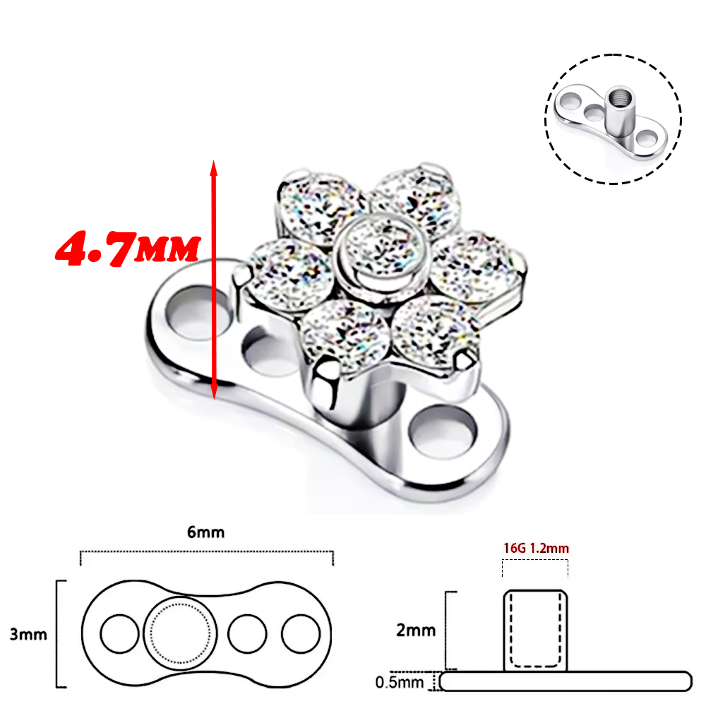 F136 liga de titânio de alta q - Body Jewelry Implants avaliação e preço